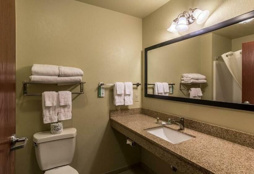 חדר דחוקס עם מיטת קינג, Cobblestone Hotel & Suites   Harborcreek