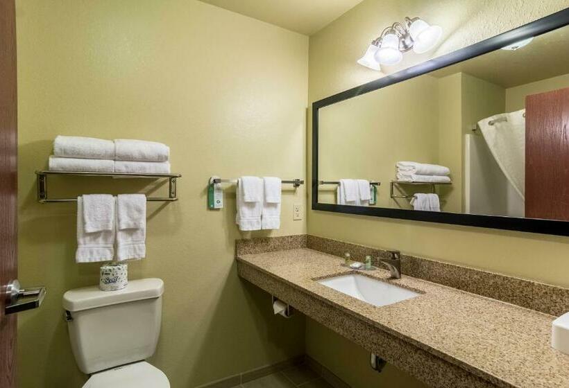 חדר דלוקס, Cobblestone Hotel & Suites   Harborcreek