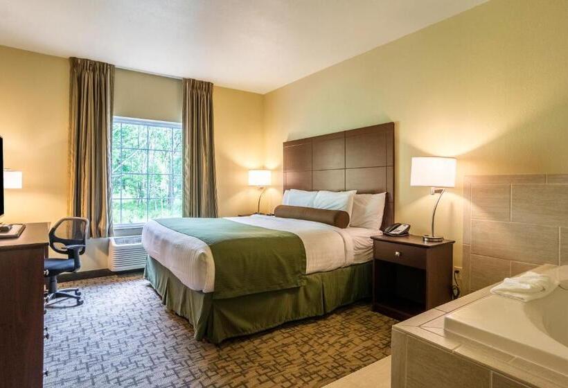 Люкс Кровать Кинг, Cobblestone Hotel & Suites   Harborcreek