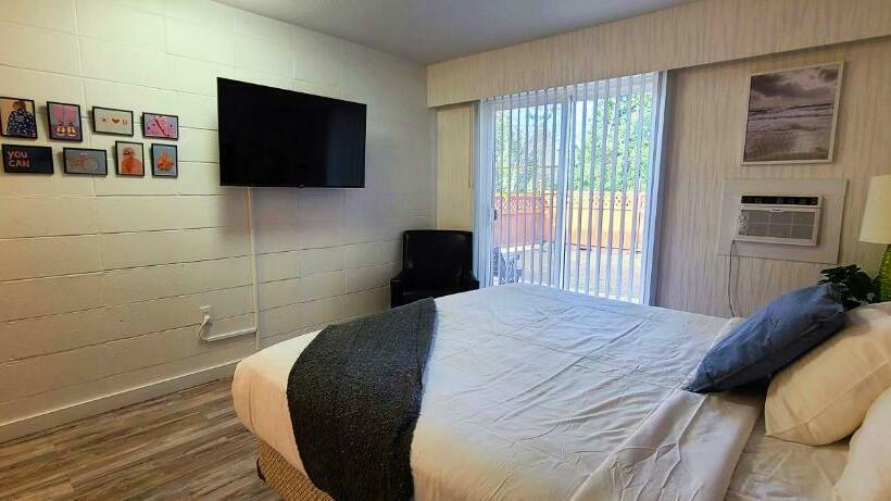 キングサイドベッドのスタンダードワンルーム, The Spot