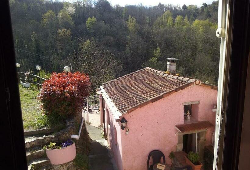 스탠다드 룸, Agriturismo Locanda Del Papa