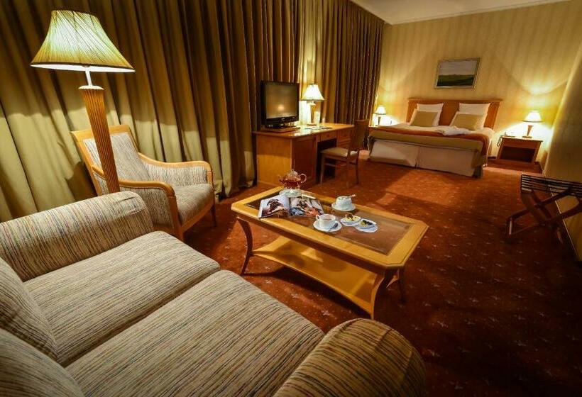 اتاق استاندارد با تخت بزرگ, Cosmonaut