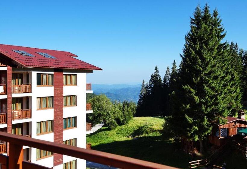 غرفة قياسية, Forest Nook Apart