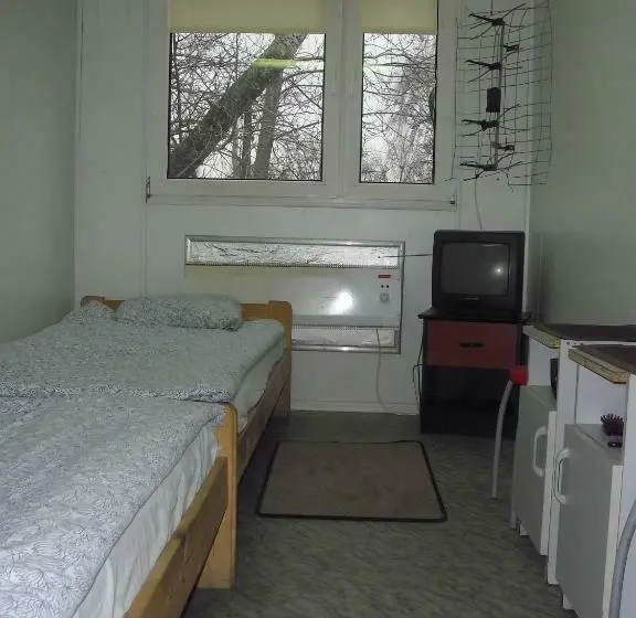 Standard-huone Jaettu Kylpyhuone, Hostel Metro