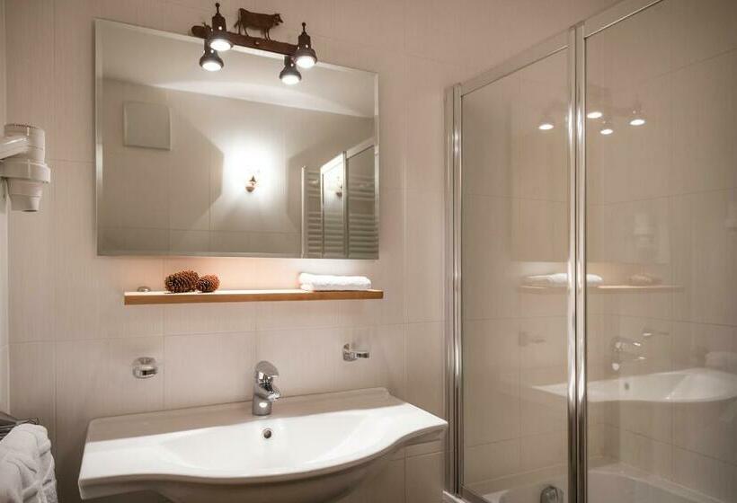 חדר סטודיו סטנדרד, Piculin Alpin Apartments