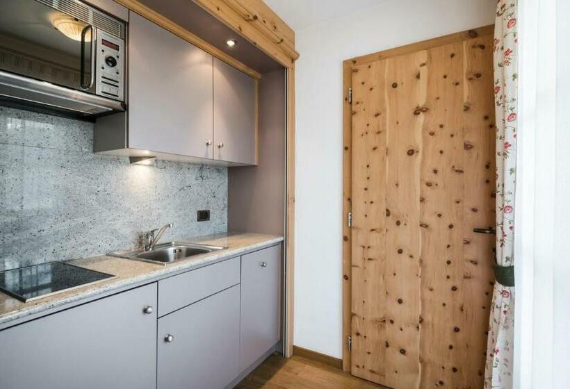 דירת חדר, Piculin Alpin Apartments