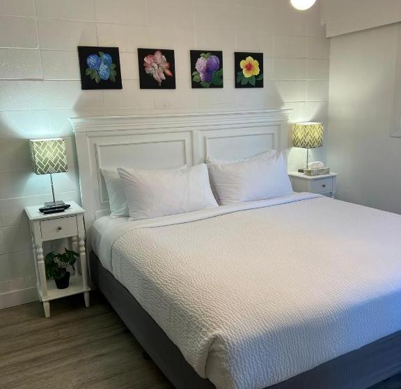 スイート(家族用), The Spot