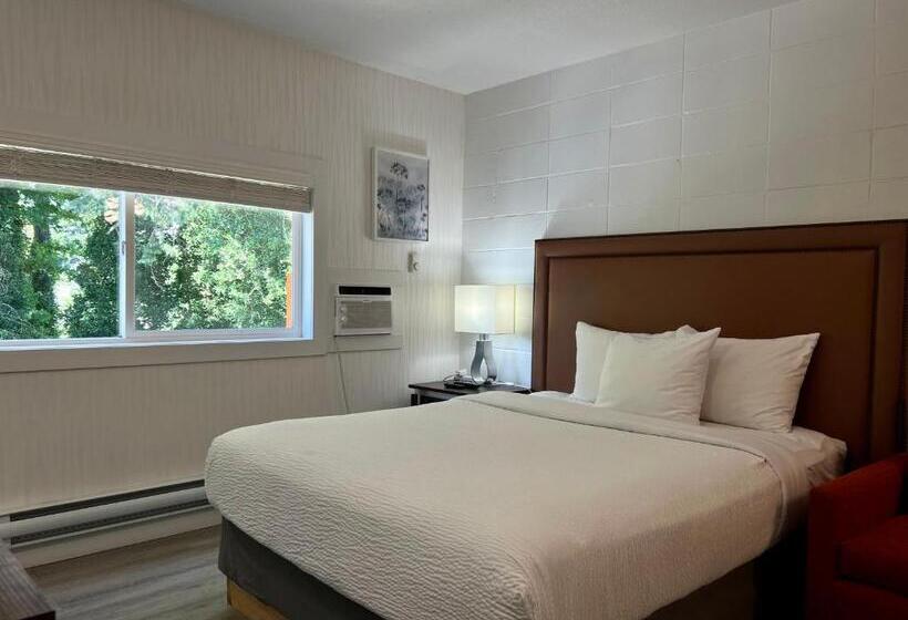 2ベッドスイートルーム, The Spot