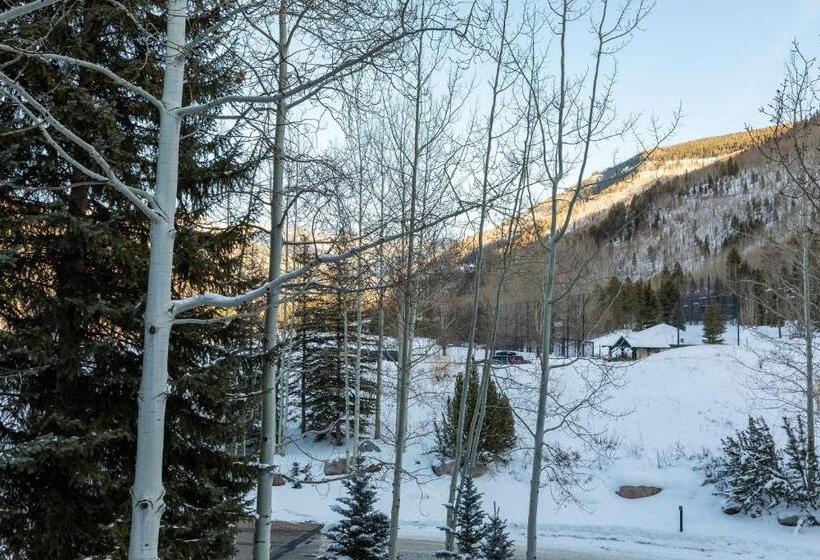 １ベッドルームアパートメント, Northwood S Ski In Ski Out By Vail Realty