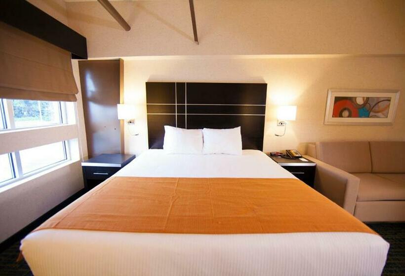 اتاق لوکس با تخت بزرگ, Warehouse Hotel At The Nook