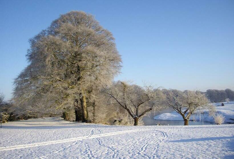 套房带园景, Warwick Hall