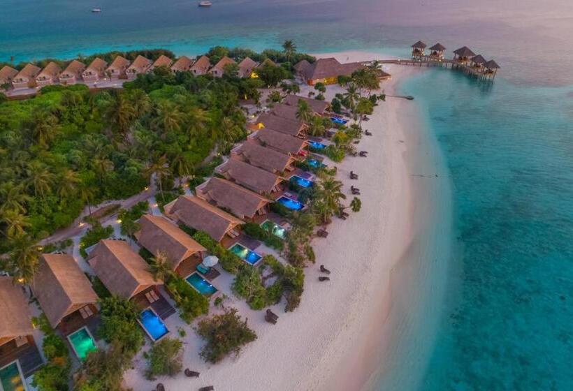 ویلای یک اتاق خوابه با استخر شنا, Kudafushi Resort & Spa
