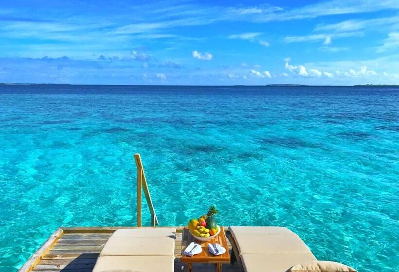ویلای 1 خوابه, Kudafushi Resort & Spa