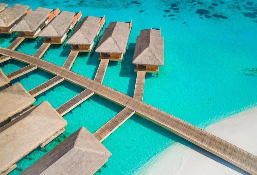 ویلای یک اتاق خوابه با استخر شنا, Kudafushi Resort & Spa