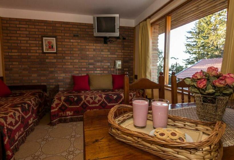 آپارتمان 1 خوابه, Lejano Nahuel