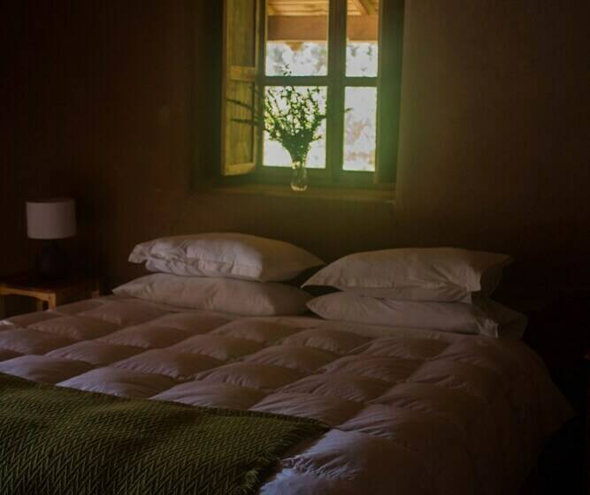 غرفة قياسية, Casona Distante