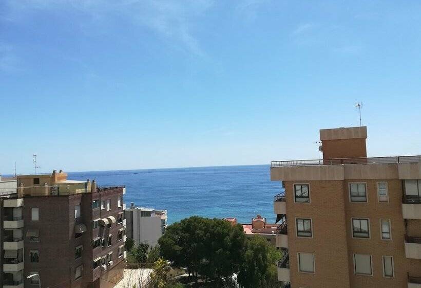 高级大房间, Censal