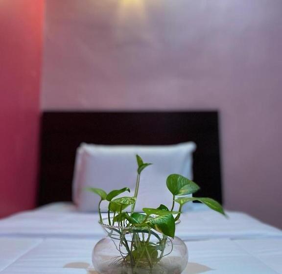 חדר סטנדרט עם מיטת קינג, Ct