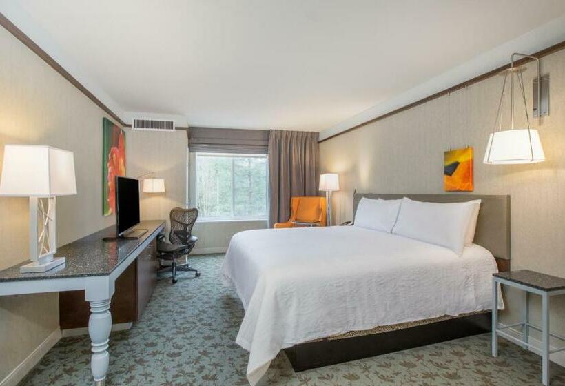 غرفة قياسية سرير كينج, Hilton Garden Inn Olympia