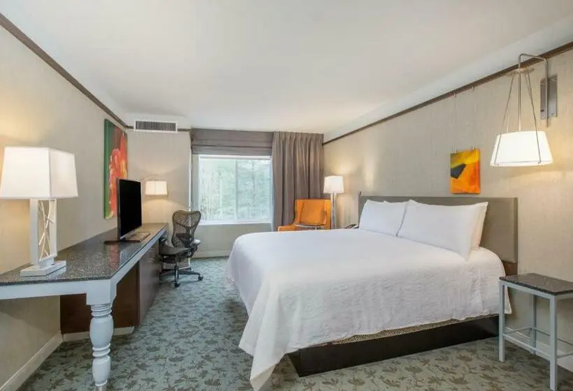 Standard-huone King-vuode, Hilton Garden Inn Olympia