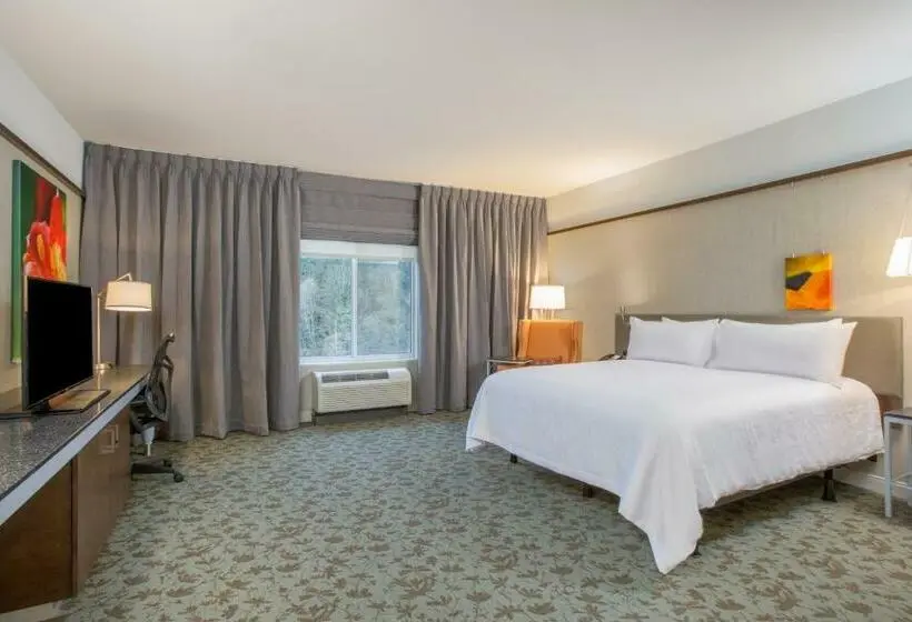Standard-invahuone King-vuode, Hilton Garden Inn Olympia