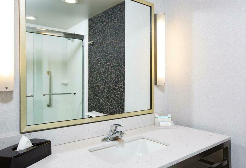 غرفة قياسية سرير كينج لذوى الإحتياجات الخاصة, Hilton Garden Inn Olympia