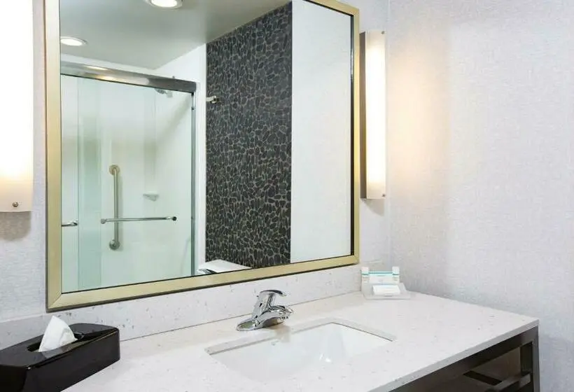 Standard-invahuone King-vuode, Hilton Garden Inn Olympia