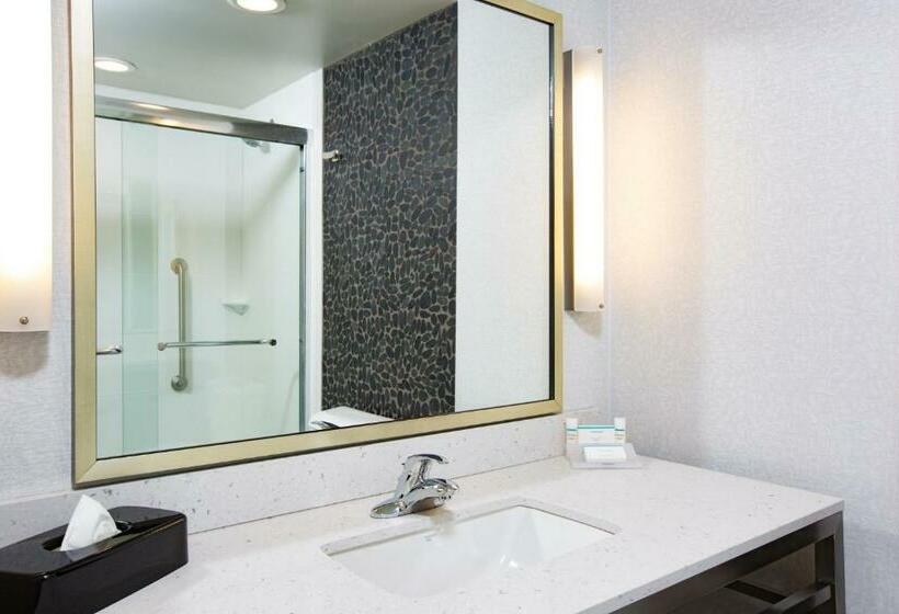 غرفة قياسية سرير كينج لذوى الإحتياجات الخاصة, Hilton Garden Inn Olympia