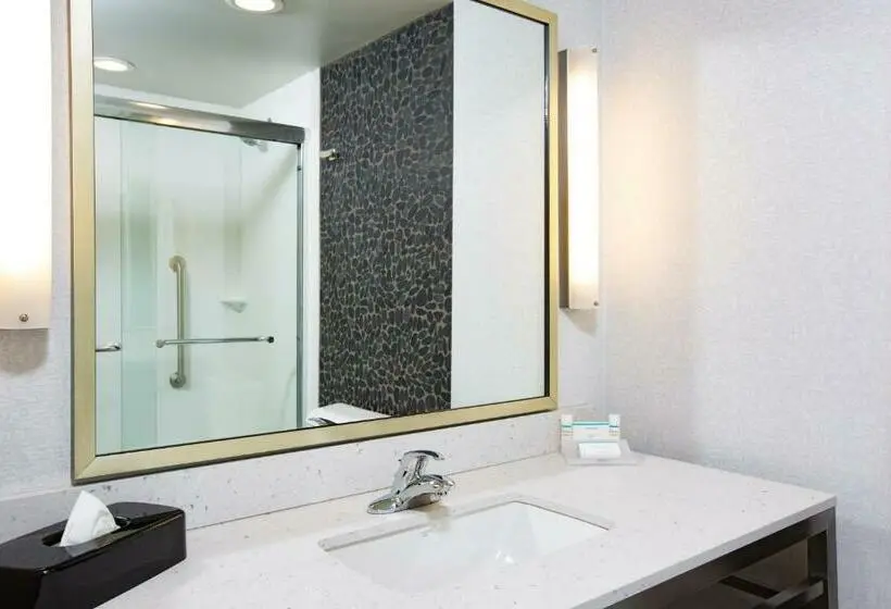 Standard-invahuone King-vuode, Hilton Garden Inn Olympia