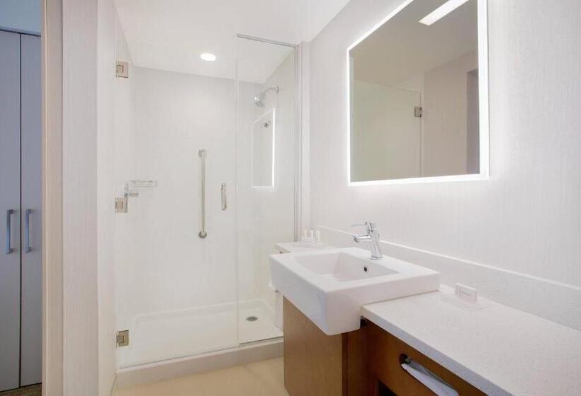 Люкс Кровать Кинг, Springhill Suites By Marriott Mount Laurel