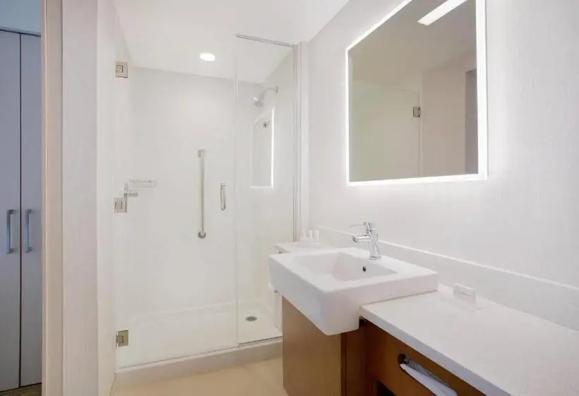 Sviitti King-vuode, Springhill Suites By Marriott Mount Laurel