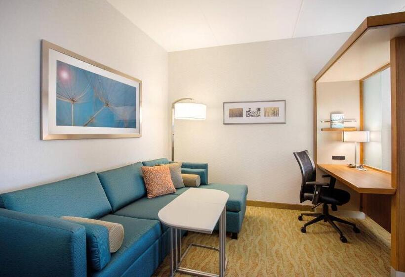 스위트 킹사이즈 침대, Springhill Suites By Marriott Mount Laurel