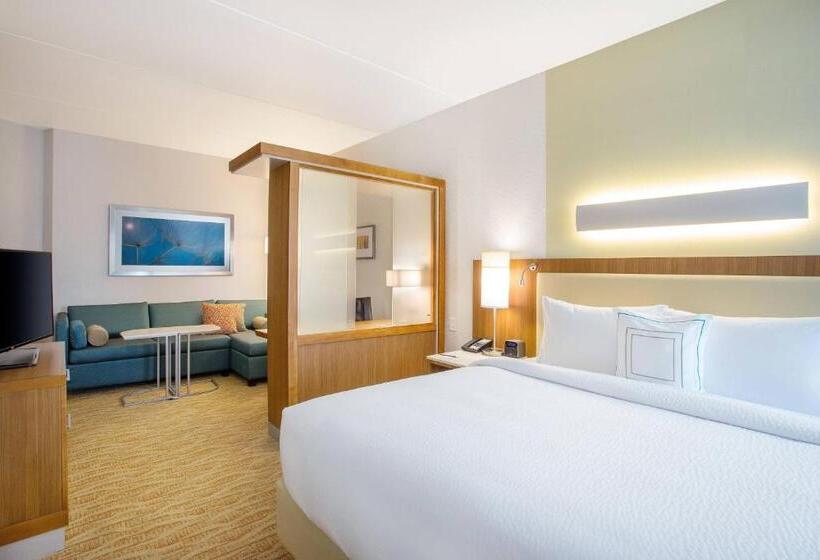 キングサイズベッドのスイートルーム, Springhill Suites By Marriott Mount Laurel