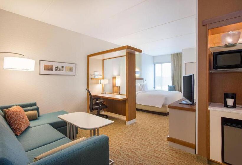 Люкс Кровать Кинг, Springhill Suites By Marriott Mount Laurel