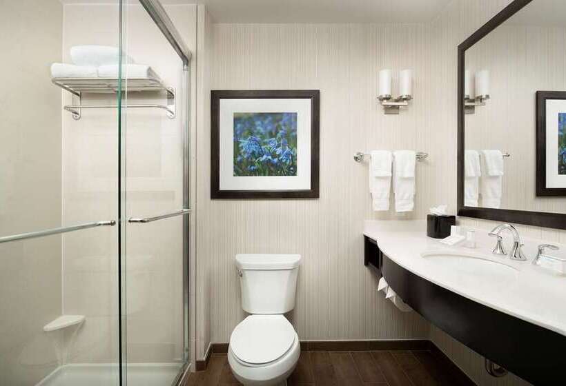 프리미엄 룸, The Statler Dallas, Curio Collection By Hilton