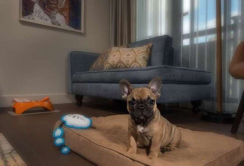 غرفة بريميوم, The Statler Dallas, Curio Collection By Hilton