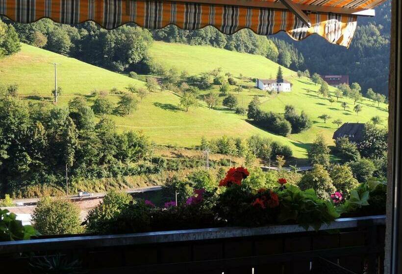 Номер Стандарт Индивидуальный, Gästehaus Und Ferienwohnung Bächle