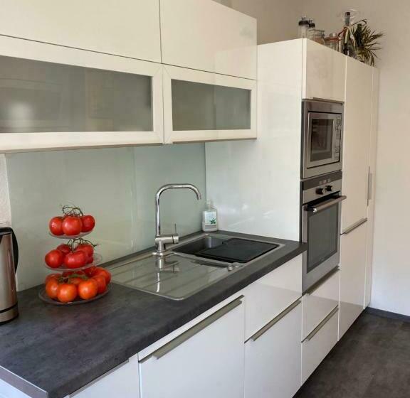 스탠다드 싱글 룸, Gästehaus Und Ferienwohnung Bächle