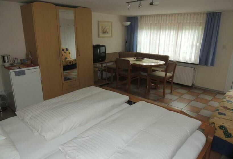 Номер Стандарт, Gästehaus Und Ferienwohnung Bächle