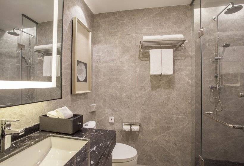 آپارتمان اجرایی 1 خوابه, Somerset Yangtze River Chongqing