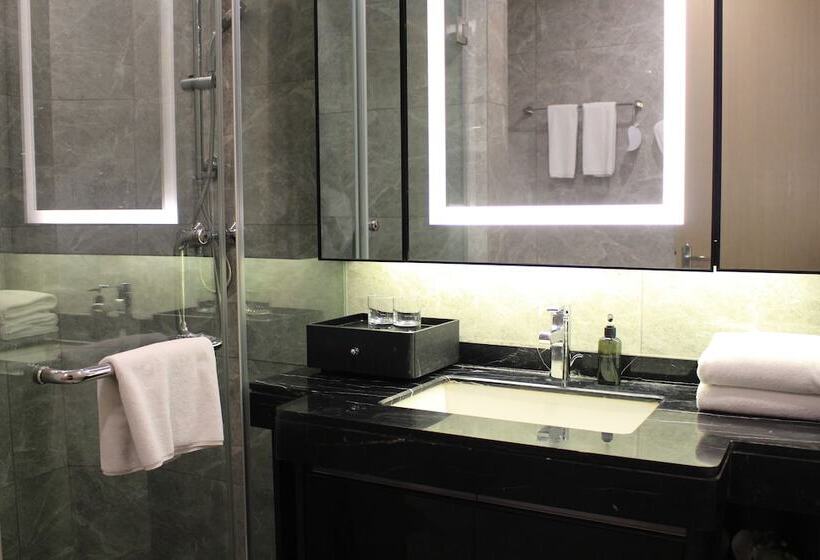 آپارتمان اجرایی 1 خوابه, Somerset Yangtze River Chongqing