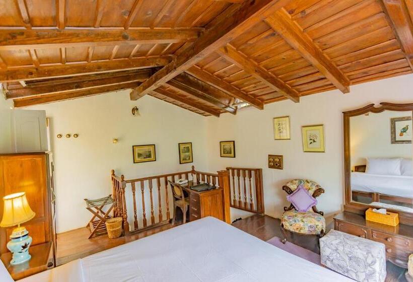 スタンダードルーム, Seclude Ramgarh Taradale