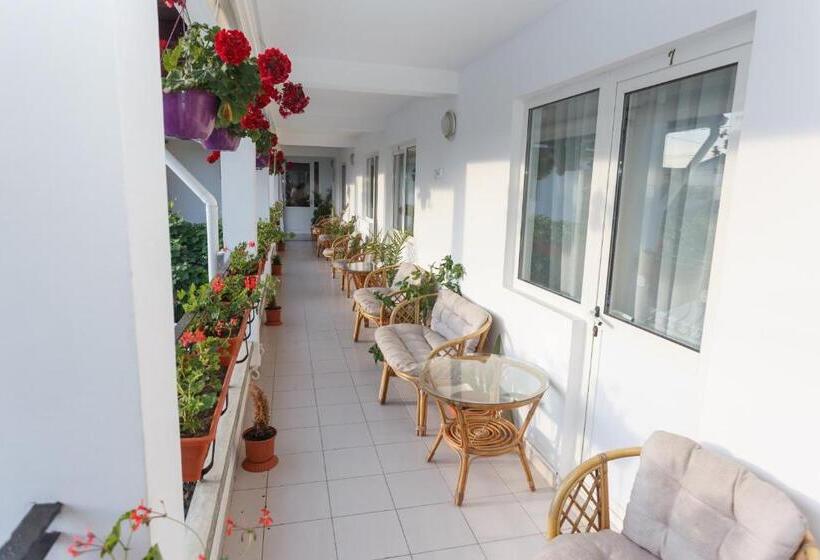 غرفة قياسية, Pensiunea Adriana