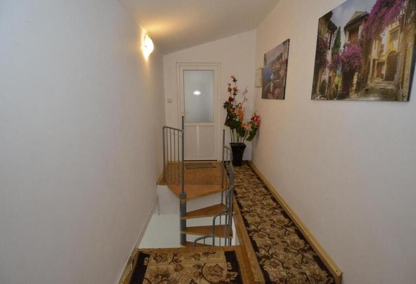 غرفة إقتصادية, Pensiunea Adriana