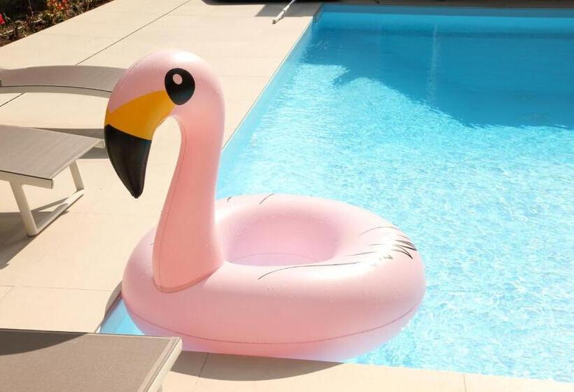 디럭스 자쿠지룸, Domus Aurige