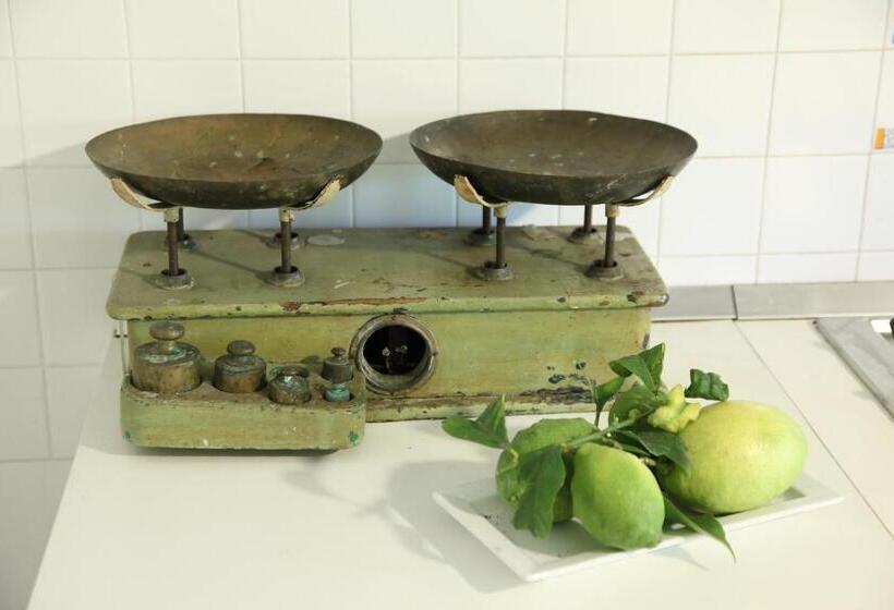 패밀리 스위트, Domus Aurige