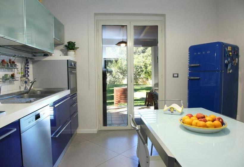 패밀리 스위트, Domus Aurige