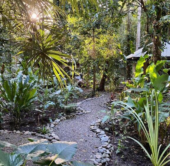 标准房带园景, Aire