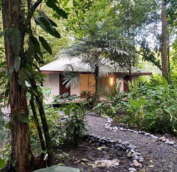 标准房带园景, Aire