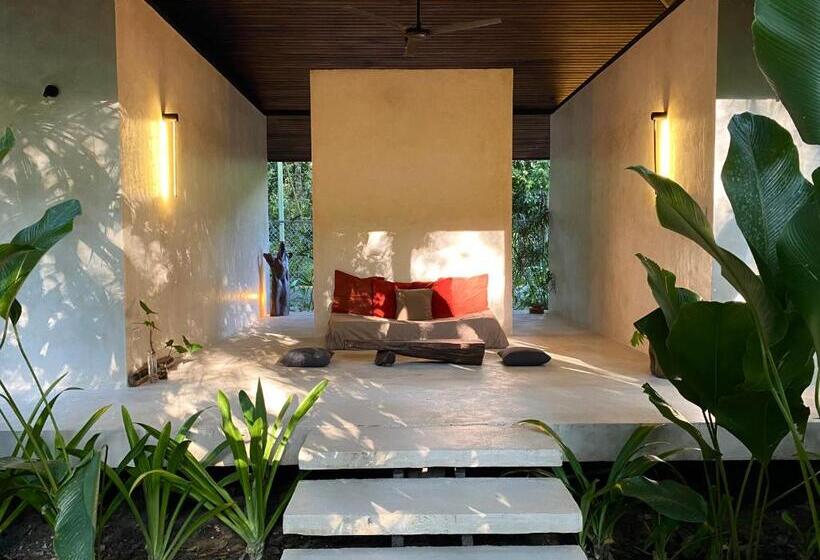 标准房带园景, Aire